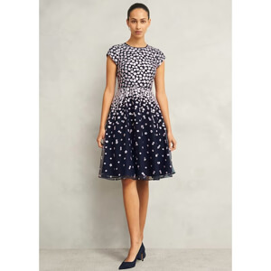 Hobbs Betty Embroidered Dress